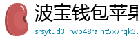 波宝钱包苹果版
